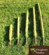 AussieSuperStore Homeware Supplies Coco Poles for Creeper Plants (in 5 sizes) Coco Poles for Creeper Plants | Moss stick,Coir poles,Totem poles